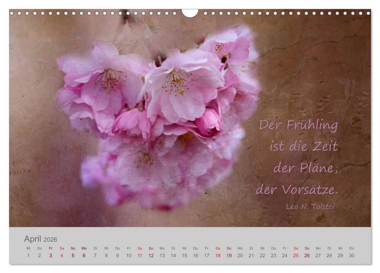 Produktbild: Jahres-Zeiten (Wandkalender 2026 DIN A3 quer), CALVENDO Monatskalender