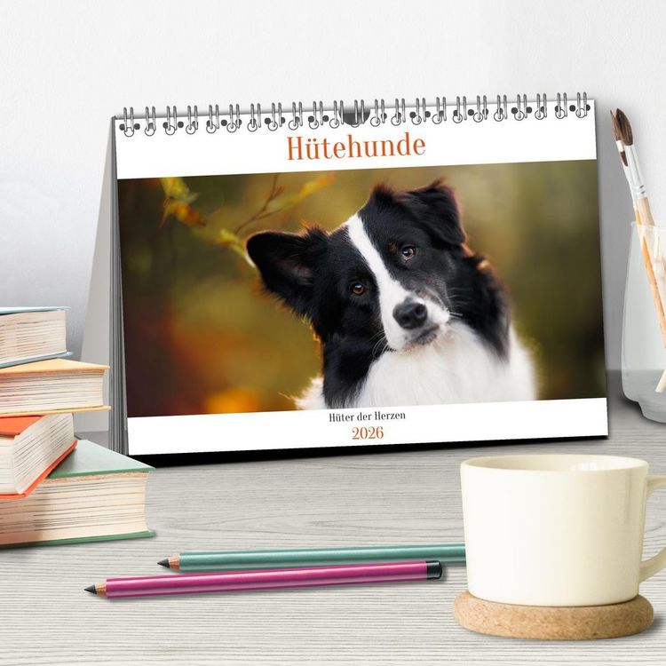 Produktbild: H&uuml;tehunde - H&uuml;ter der Herzen (Tischkalender 2026 DIN A5 quer), CALVENDO Monatskalender