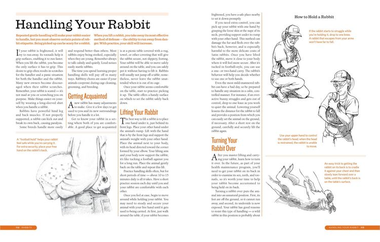Produktbild: The Backyard Homestead Guide to Raising Farm Animals