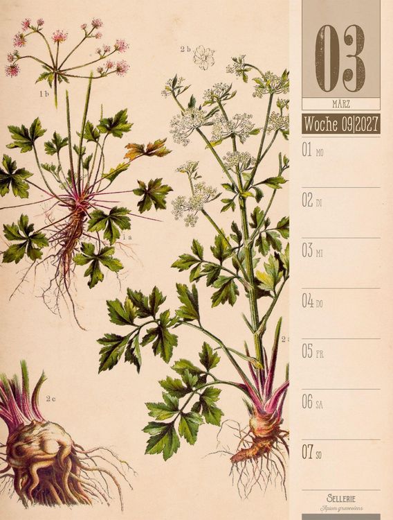 Produktbild: Culinarium Wochenplaner Kalender 2027 | K&uuml;che, Kr&auml;uter, Kurioses