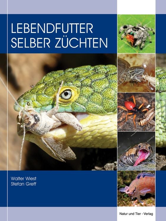 Produktbild: Lebendfutter selber z&uuml;chten