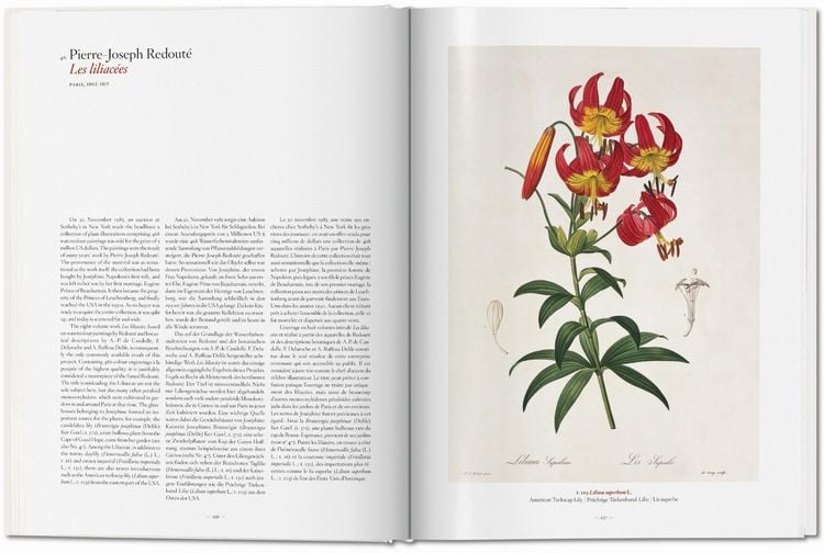 Produktbild: A Garden Eden
