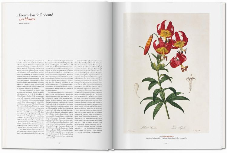 Produktbild: A Garden Eden. Masterpieces of Botanical Illustration