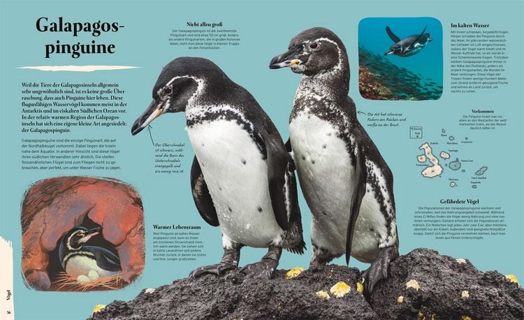 Produktbild: Galapagos