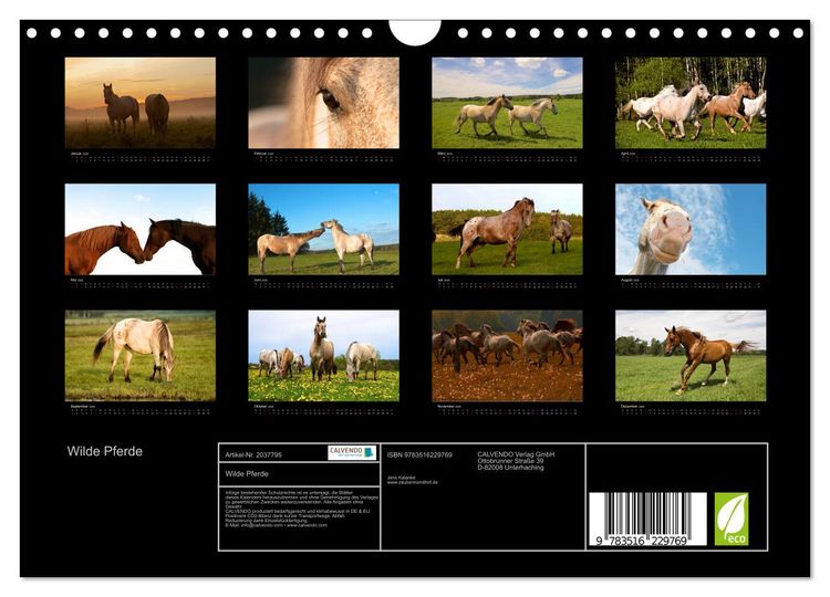 Produktbild: Wilde Pferde (Wandkalender 2026 DIN A4 quer), CALVENDO Monatskalender
