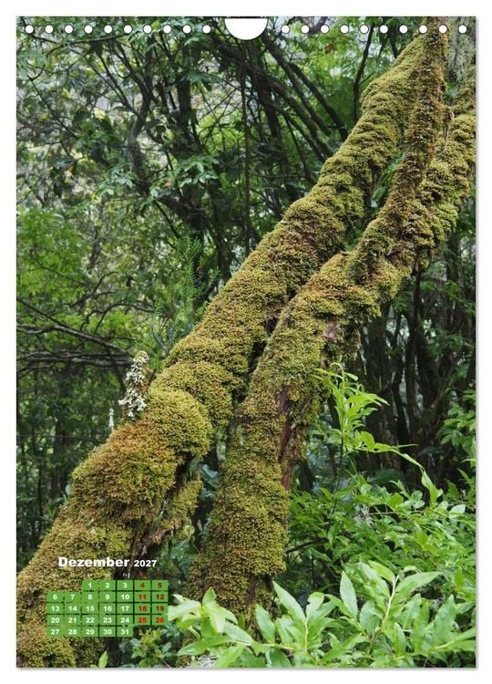 Produktbild: Levadas auf Madeira. Wildromantische Wanderwege (Wandkalender 2027 DIN A4 hoch), CALVENDO Monatskalender