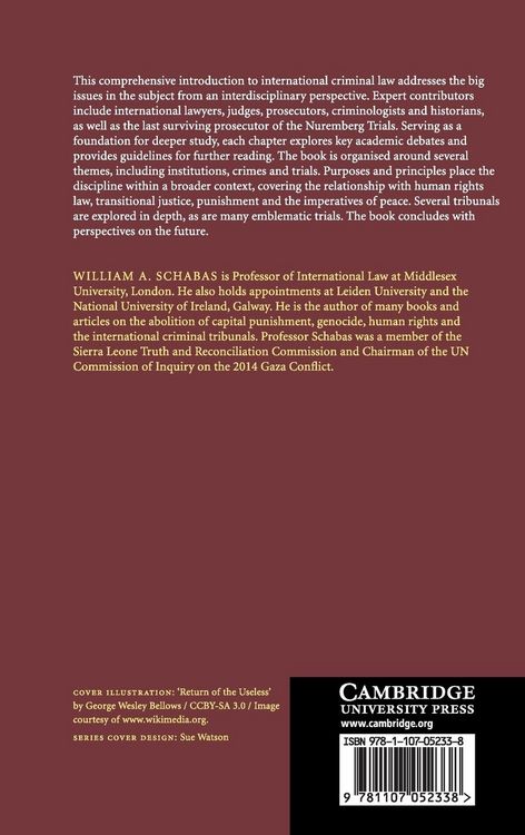Produktbild: The Cambridge Companion to International Criminal Law