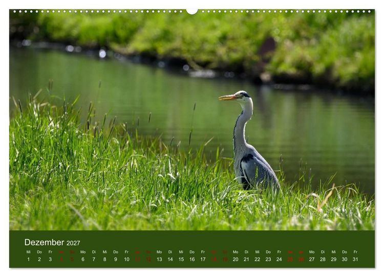 Produktbild: Reiher in der Elbmarsch (hochwertiger Premium Wandkalender 2027 DIN A2 quer), Kunstdruck in Hochglanz
