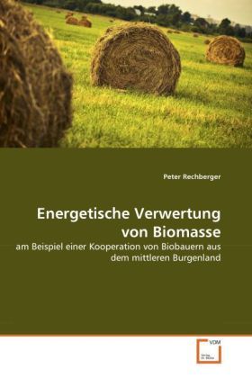Produktbild: Rechberger, P: Energetische Verwertung von Biomasse