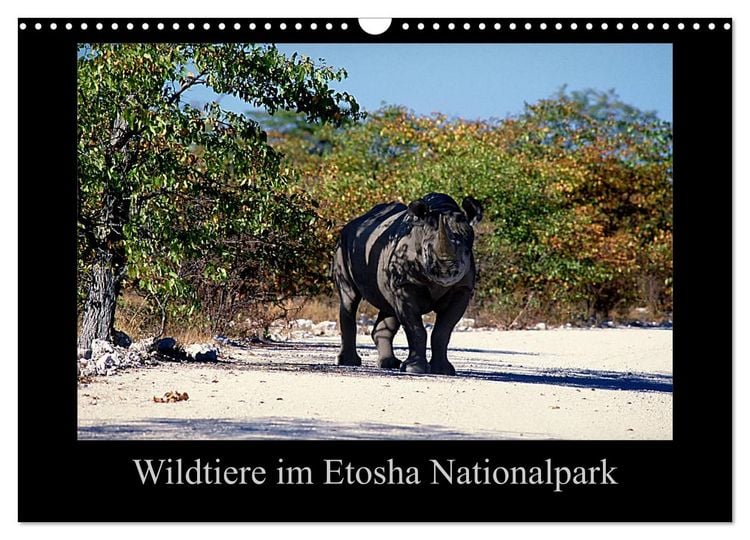 Produktbild: Wildtiere im Etosha Nationalpark (Wandkalender 2026 DIN A3 quer), CALVENDO Monatskalender