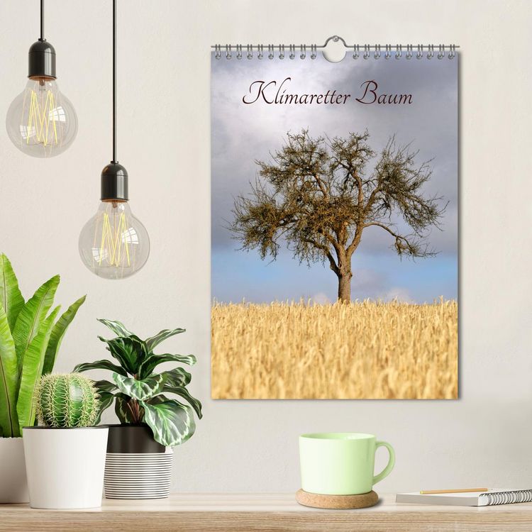 Produktbild: Klimaretter Baum (Wandkalender 2026 DIN A4 hoch), CALVENDO Monatskalender