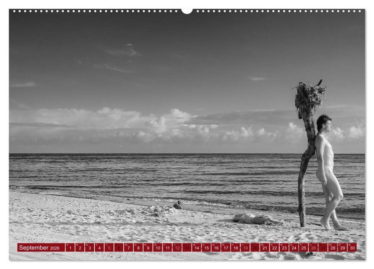 Produktbild: Haut(e) Couture (Wandkalender 2026 DIN A2 quer), CALVENDO Monatskalender