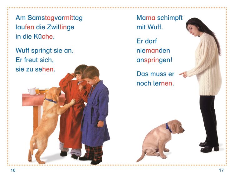 Produktbild: SUPERLESER! Willkommen, kleiner Hund!