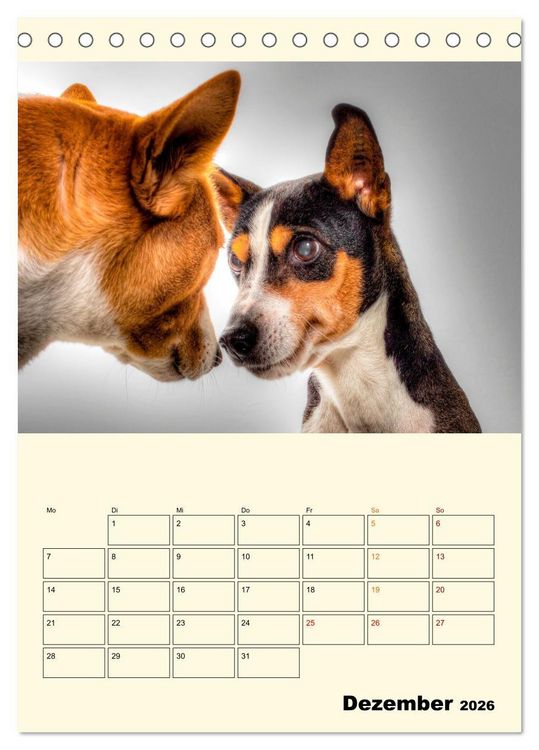Produktbild: Lustig verr&uuml;ckt - der Tierkalender (Tischkalender 2026 DIN A5 hoch), CALVENDO Monatskalender