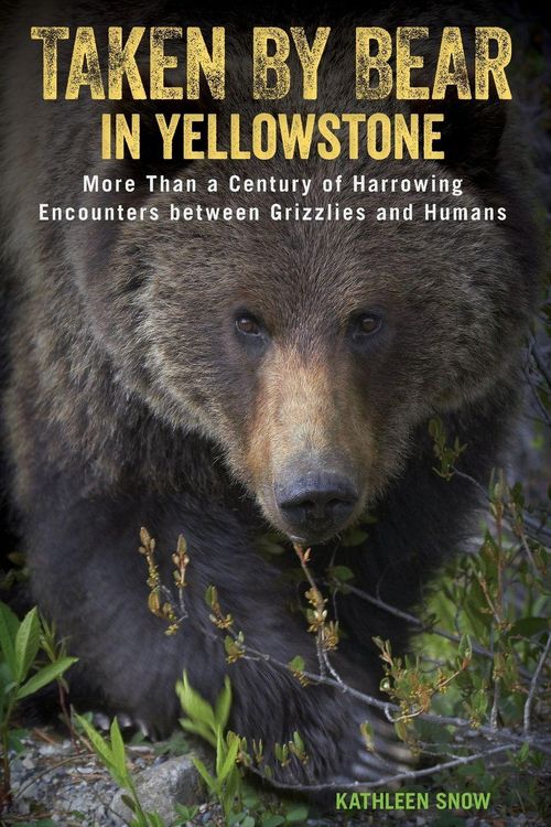 Produktbild: Taken by Bear in Yellowstone
