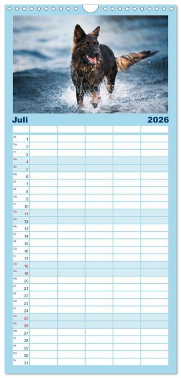 Produktbild: Familienplaner 2026 - H&uuml;tehunde - H&uuml;ter der Herzen mit 5 Spalten (Wandkalender, 21 x 45 cm) CALVENDO