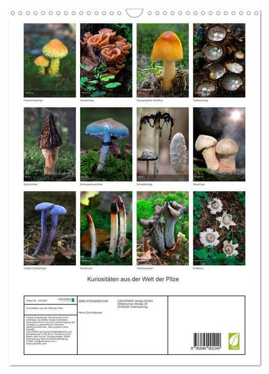 Produktbild: Kuriosit&auml;ten aus der Welt der Pilze (Wandkalender 2027 DIN A3 hoch), CALVENDO Monatskalender
