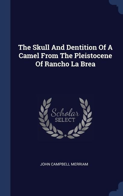 Produktbild: The Skull And Dentition Of A Camel From The Pleistocene Of Rancho La Brea