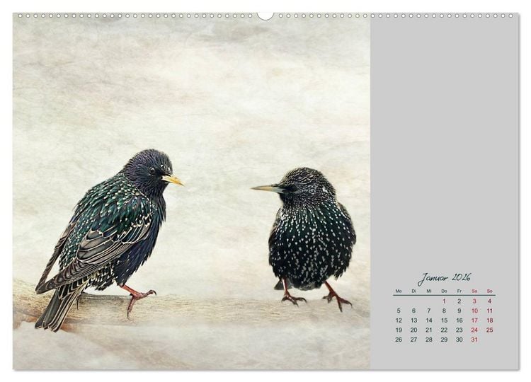 Produktbild: Kalenderspr&uuml;che (hochwertiger Premium Wandkalender 2026 DIN A2 quer), Kunstdruck in Hochglanz