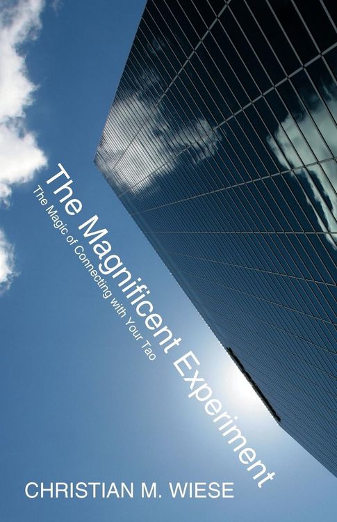 Produktbild: The Magnificent Experiment