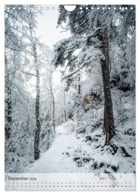 Produktbild: Winter Spaziergang (Wandkalender 2026 DIN A4 hoch), CALVENDO Monatskalender