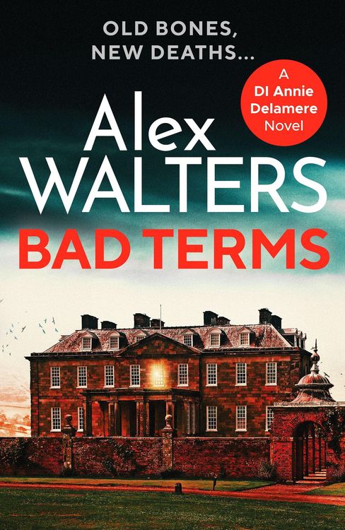 Produktbild: Bad Terms