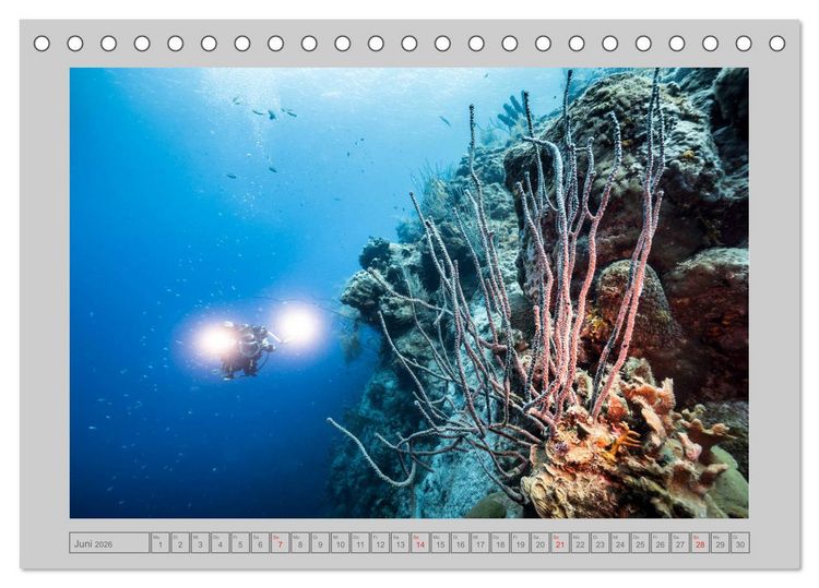 Produktbild: Karibische Meerblicke (Tischkalender 2026 DIN A5 quer), CALVENDO Monatskalender