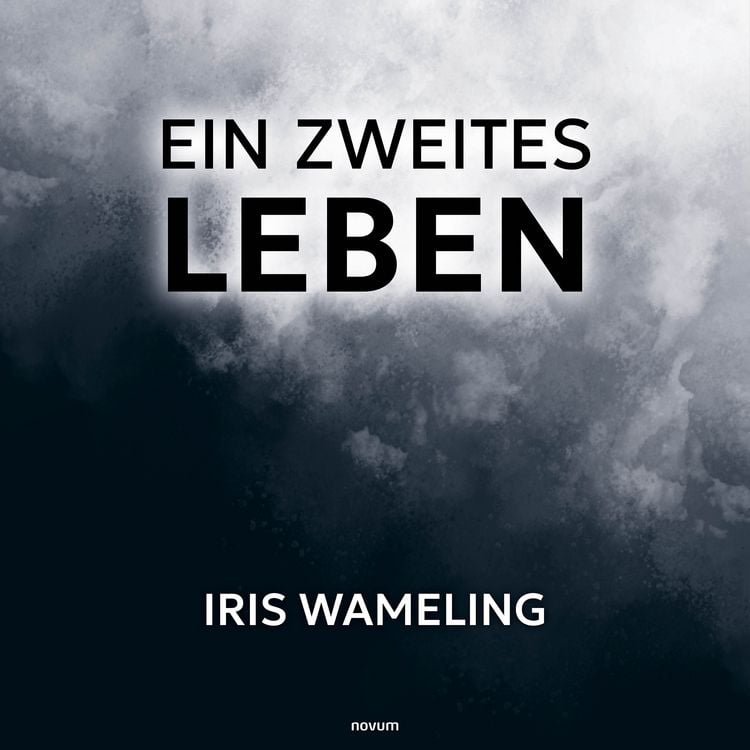 Produktbild: Ein zweites Leben