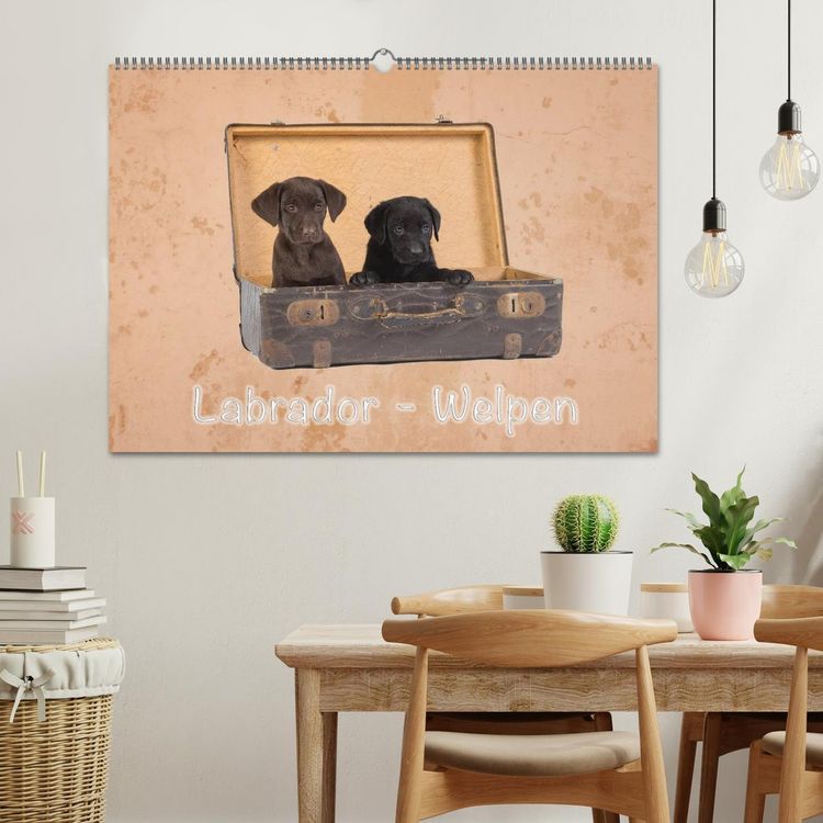 Produktbild: Labrador - Welpen (Wandkalender 2026 DIN A2 quer), CALVENDO Monatskalender