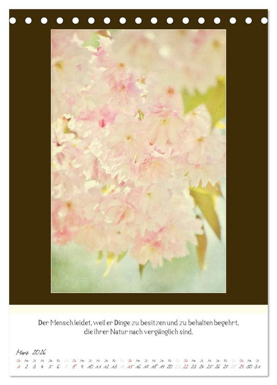 Produktbild: Der Buddhistische Weisheiten Kalender (Tischkalender 2026 DIN A5 hoch), CALVENDO Monatskalender