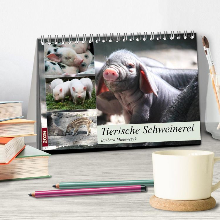 Produktbild: Tierische Schweinerei (Tischkalender 2026 DIN A5 quer), CALVENDO Monatskalender
