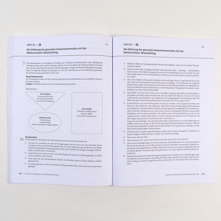 Produktbild: Therapie-Basics Schematherapie