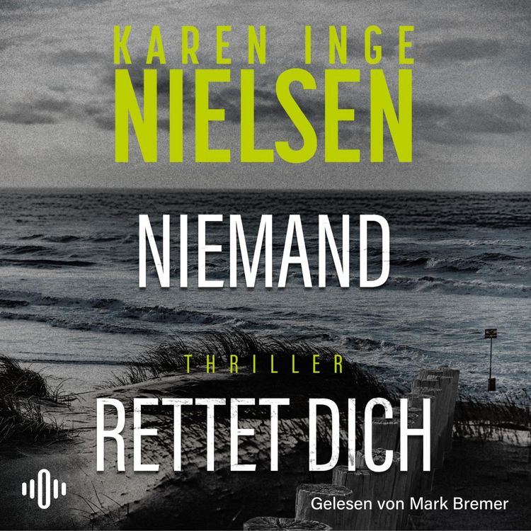 Produktbild: Niemand rettet dich (Grenzland 3)