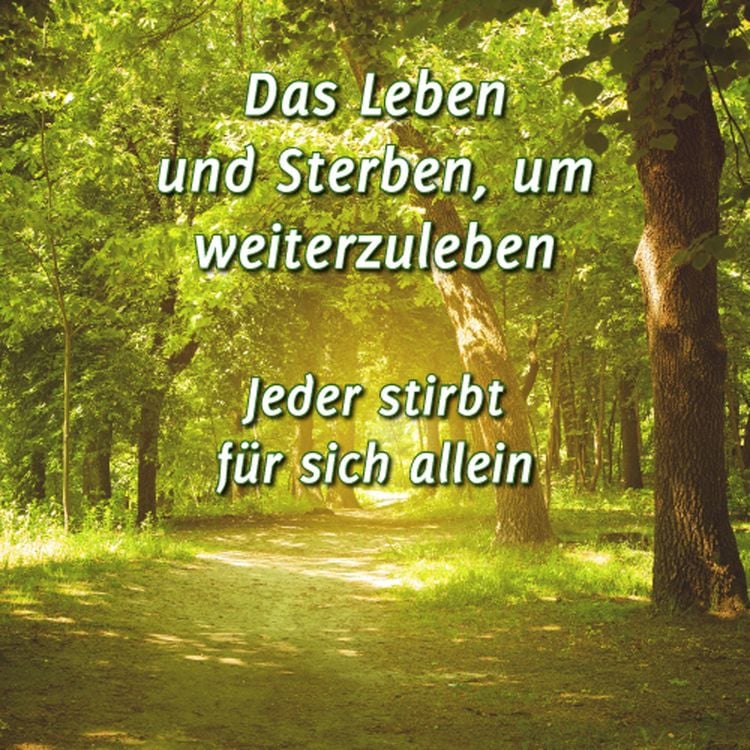 Produktbild: Das Leben und Sterben, um weiterzuleben