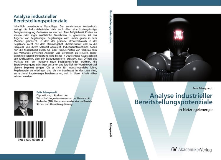 Produktbild: Analyse industrieller Bereitstellungspotenziale