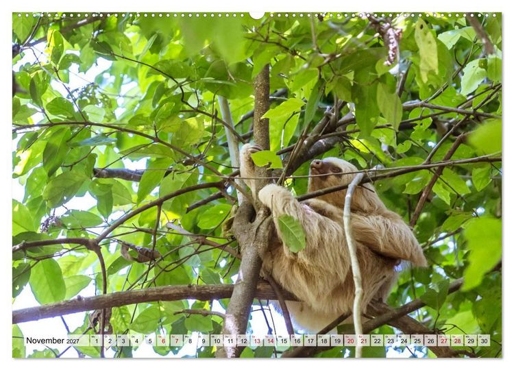 Produktbild: Costa Rica - Tierwelt und Landschaften (hochwertiger Premium Wandkalender 2027 DIN A2 quer), Kunstdruck in Hochglanz