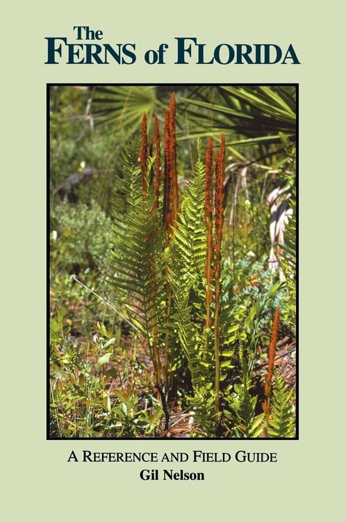 Produktbild: Ferns of Florida