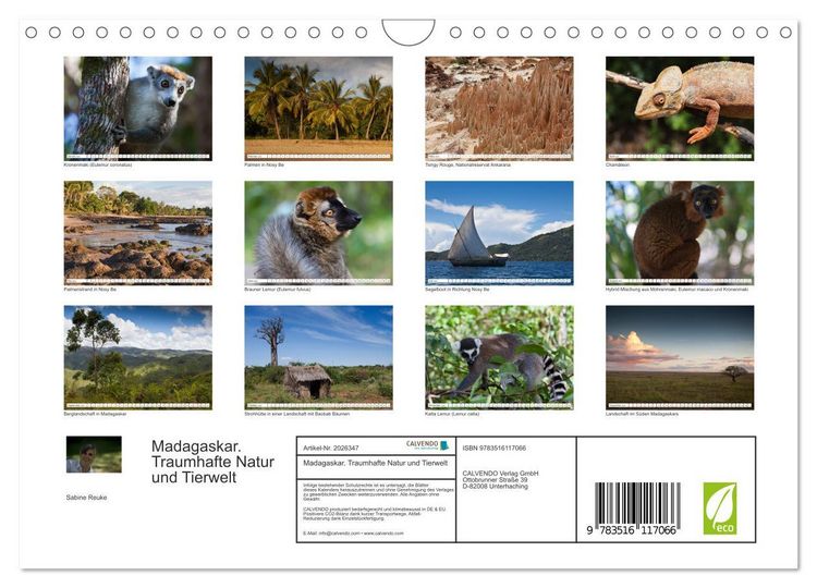 Produktbild: Madagaskar. Traumhafte Natur und Tierwelt (Wandkalender 2026 DIN A4 quer), CALVENDO Monatskalender