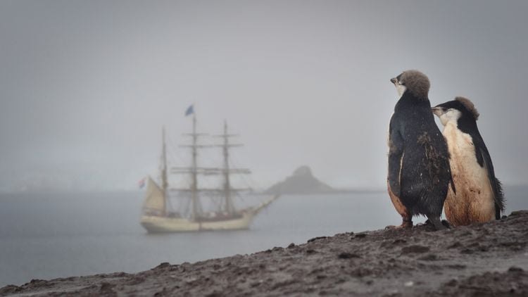 Produktbild: Eis in den Segeln