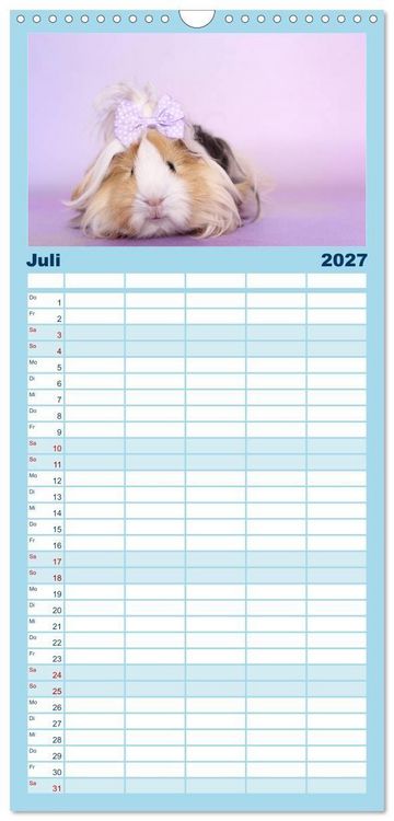Produktbild: Familienplaner 2027 - Niedliche Meerschweinchen mit 5 Spalten (Wandkalender, 21 x 45 cm) CALVENDO