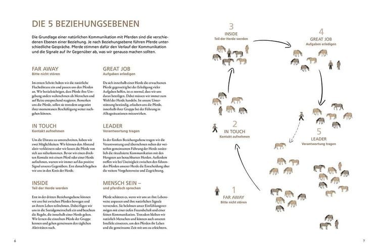 Produktbild: Im Gespr&auml;ch mit wilden Pferden