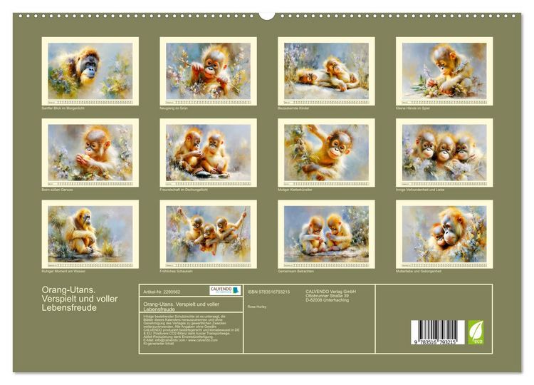 Produktbild: Orang-Utans. Verspielt und voller Lebensfreude (hochwertiger Premium Wandkalender 2027 DIN A2 quer), Kunstdruck in Hochglanz