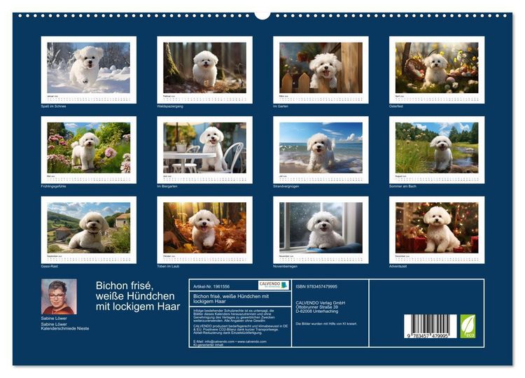 Produktbild: Bichon fris&eacute;, wei&szlig;e H&uuml;ndchen mit lockigem Haar (hochwertiger Premium Wandkalender 2026 DIN A2 quer), Kunstdruck in Hochglanz
