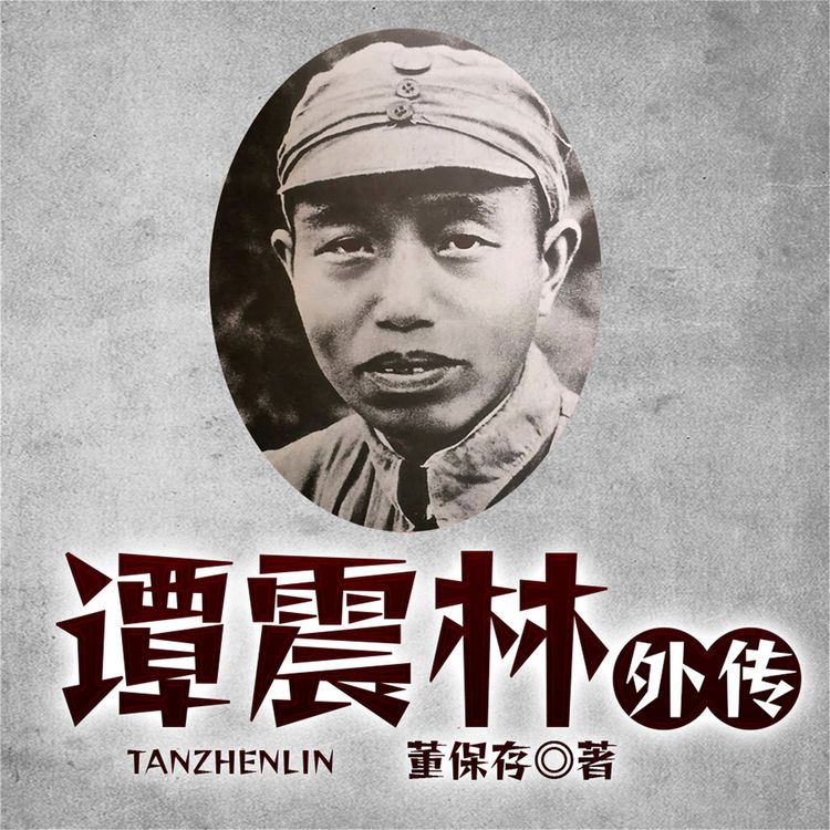 Produktbild: 谭震林外传