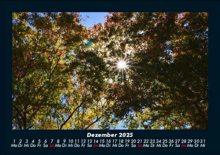 Produktbild: Landschaftskalender 2025 Fotokalender DIN A5