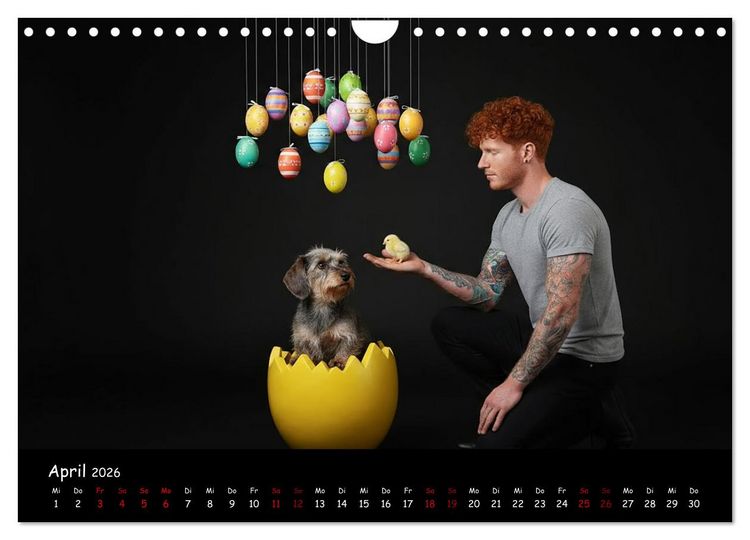 Produktbild: Coole Typen - Rauhaardackel (Wandkalender 2026 DIN A4 quer), CALVENDO Monatskalender