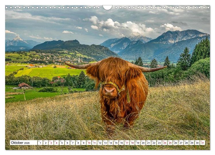 Produktbild: Kuhle Typen (Wandkalender 2026 DIN A3 quer), CALVENDO Monatskalender