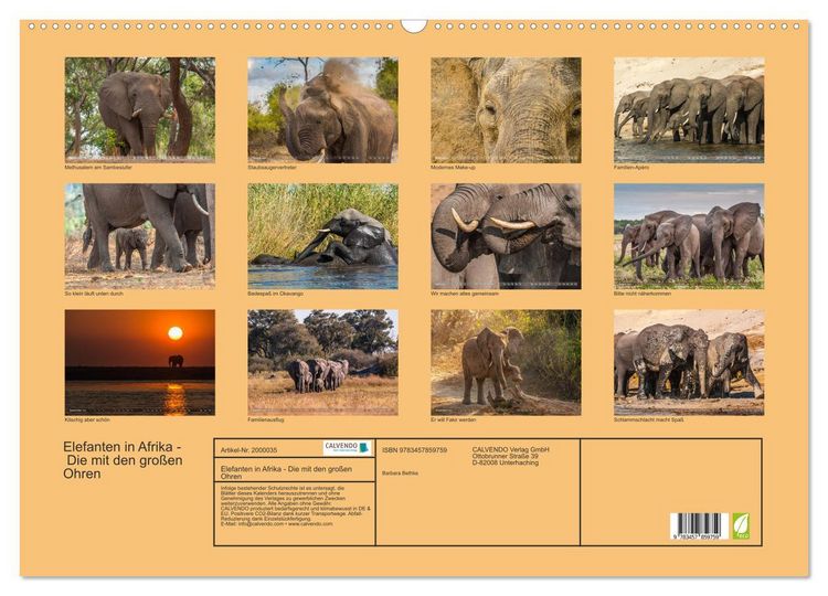 Produktbild: Elefanten in Afrika - Die mit den gro&szlig;en Ohren (Wandkalender 2026 DIN A2 quer), CALVENDO Monatskalender