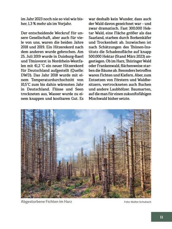 Produktbild: Wald im Wandel