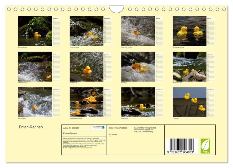 Produktbild: Enten-Rennen (Wandkalender 2026 DIN A4 quer), CALVENDO Monatskalender